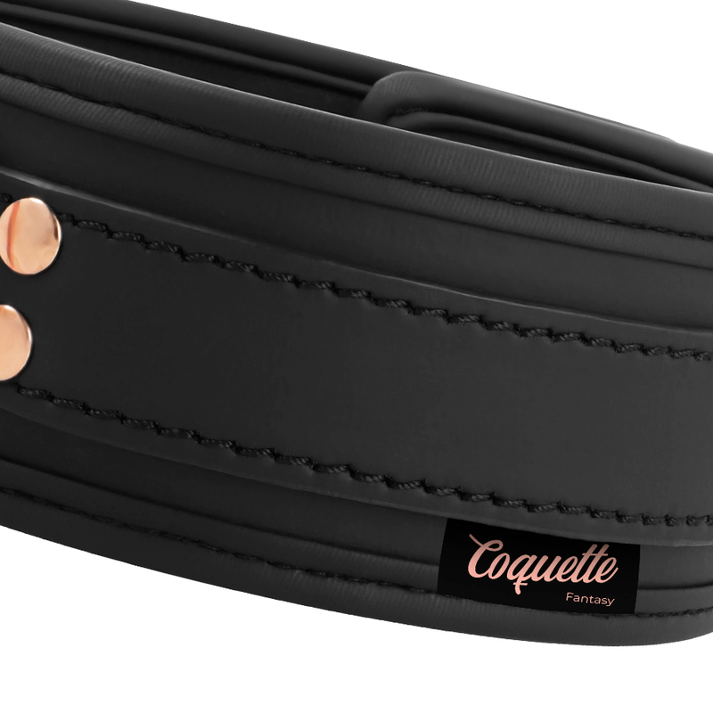 Coquette fantasy vegan leather collar