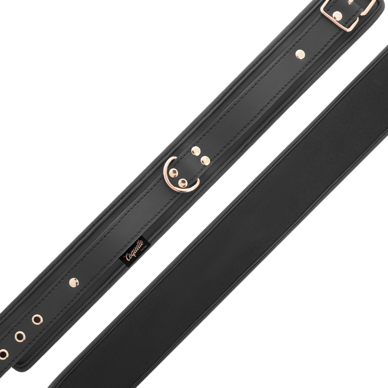 Coquette fantasy vegan leather collar