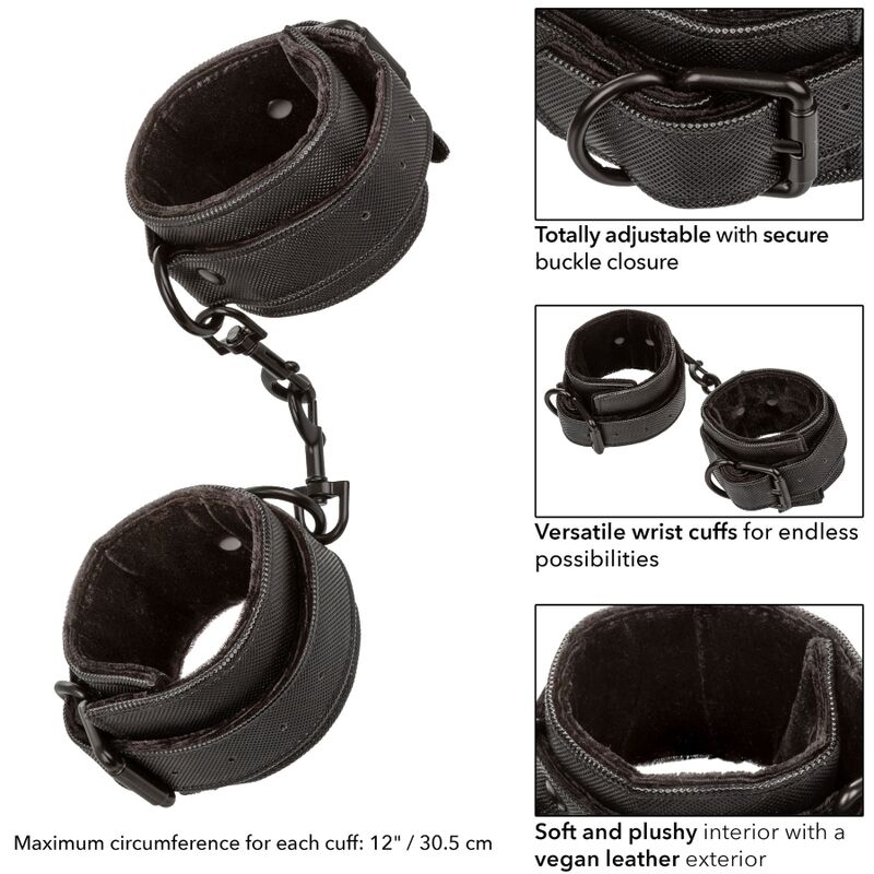 Polsini calex bounless