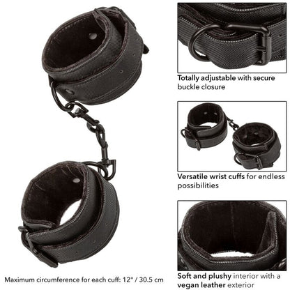 Polsini calex bounless