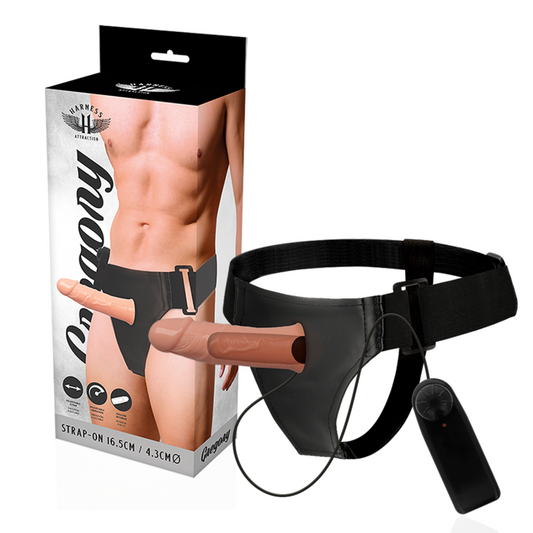 Strap-on dildo Harness attraction Gregory con vibrazione 16.5 cm