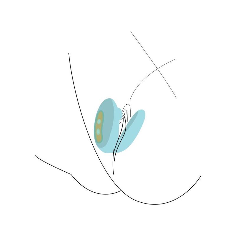Sucette clitoridienne et vibrateur de point G Xocoon Menthe