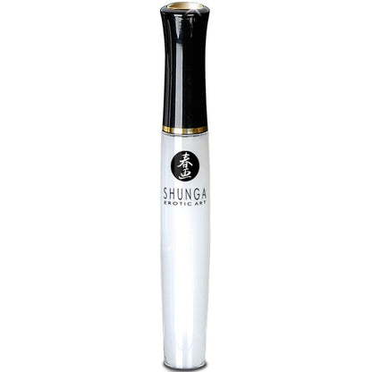 Shunga - naughtier kit