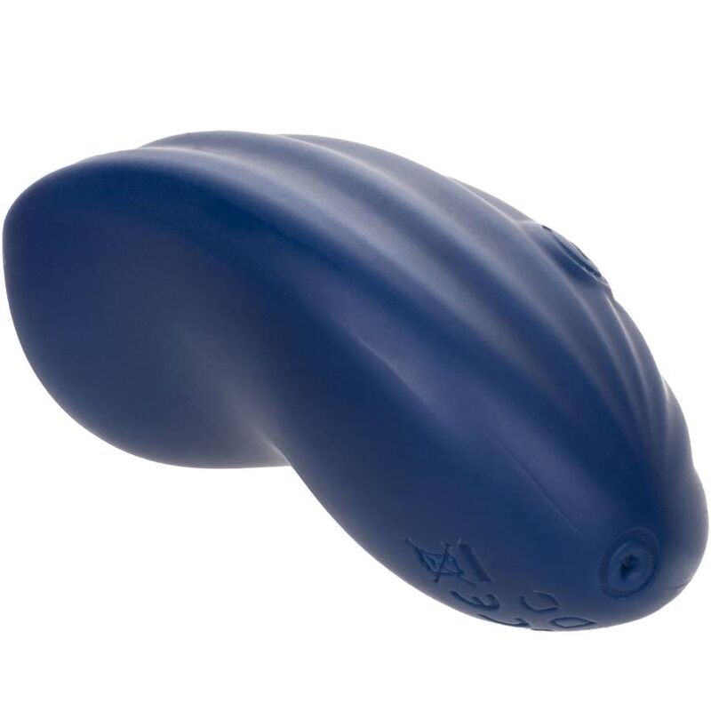 Calexotics - cachemire velours bleu courbé
