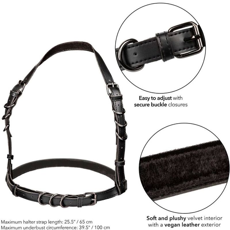 Calexotics - euphoria imbracatura con fibbia halter nera
