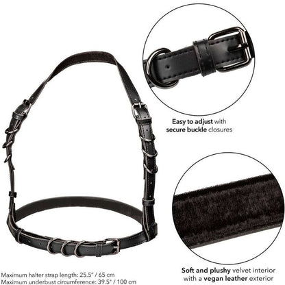 Calexotics - euphoria imbracatura con fibbia halter nera
