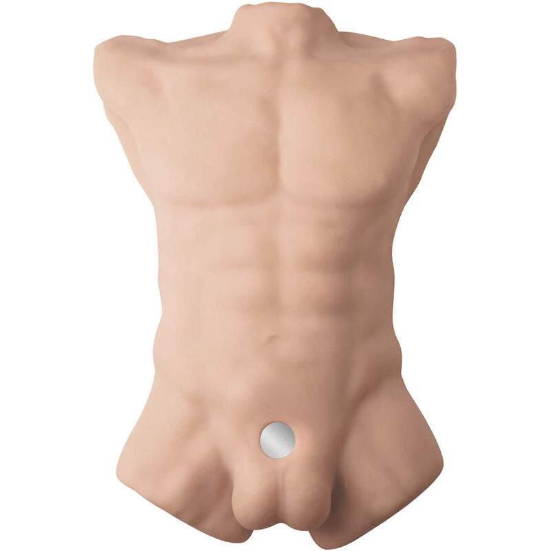 Silexd - apollo l torso maschile realistico