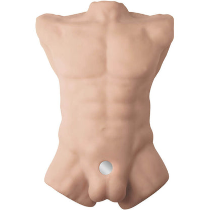 Silexd - apollo l torso maschile realistico