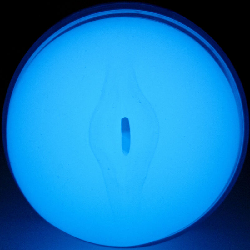 Masturbatore da Uomo Kiiroo FeelGlow Stroker Vagina Trasparente