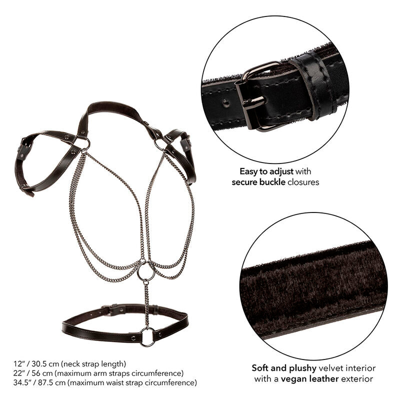 Calexotics - euphoria multichain halter harness premium