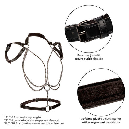 Calexotics - euphoria multichain halter harness premium