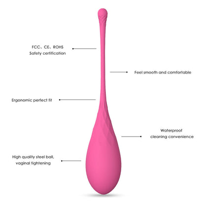 Cônes vaginaux Leslie, lot de 6