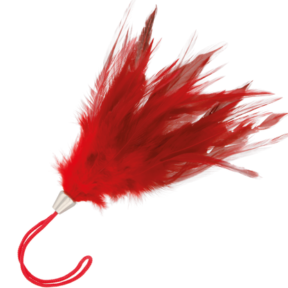 Piuma rosso scuro 17cm