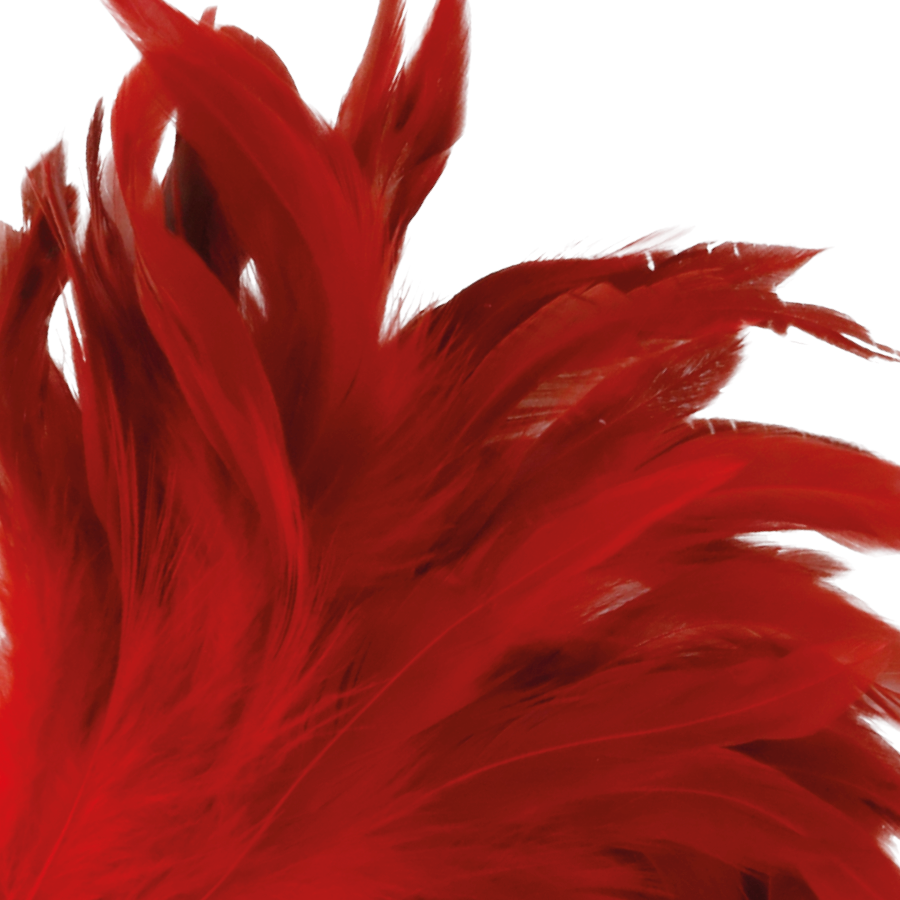 Piuma rosso tenere 24cm