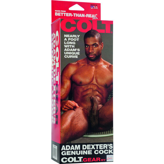 Colt adam dexter's cock