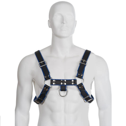 Imbracatura bulldog petto corpo in pelle pelle nera / blu