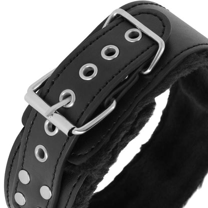 Darkness collar with leash titanium