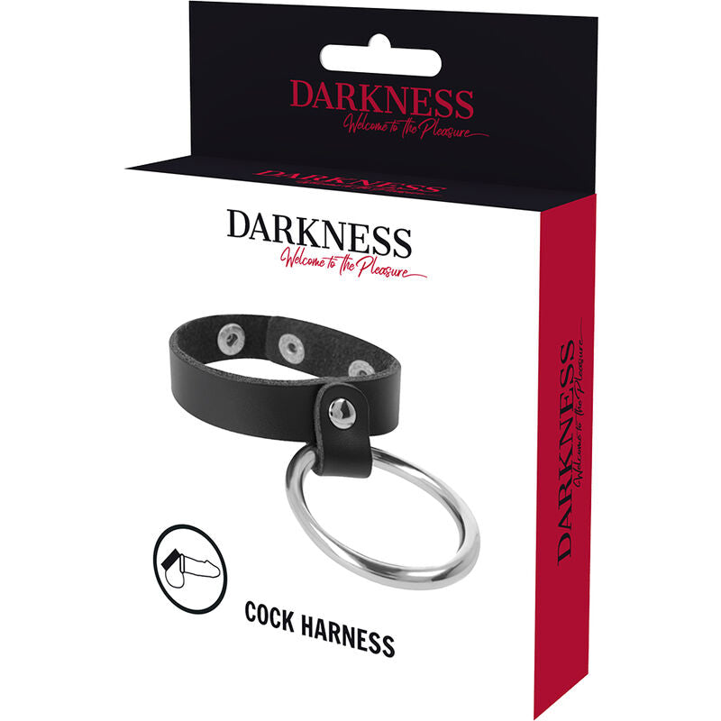 Darkness metal ring for the penis and testicles