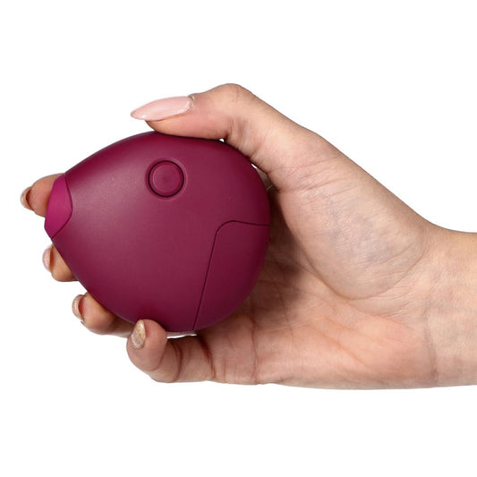 Aspirateur de clitoris Purple Instinct